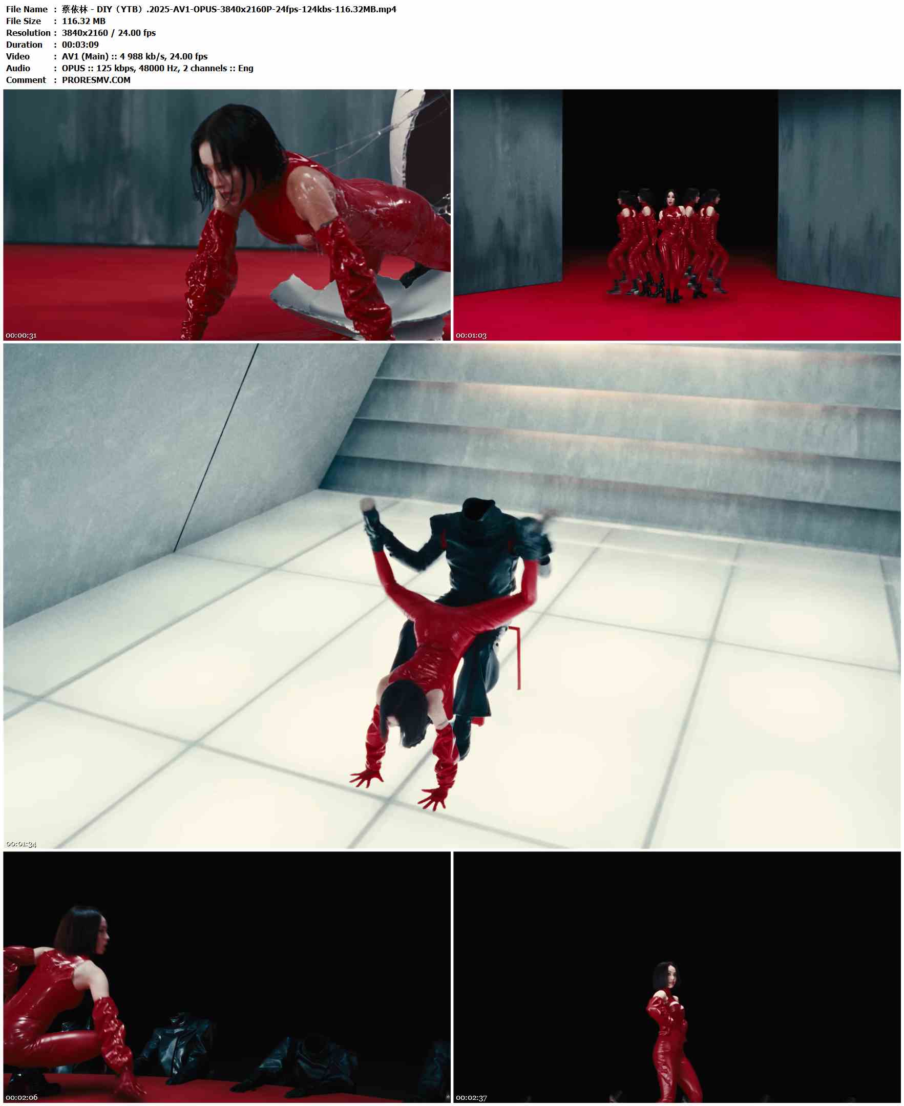 蔡依林 - DIY（YTB）.2025-AV1-OPUS-3840x2160P-24fps-124kbs-116.32MB官方MV_高清MV